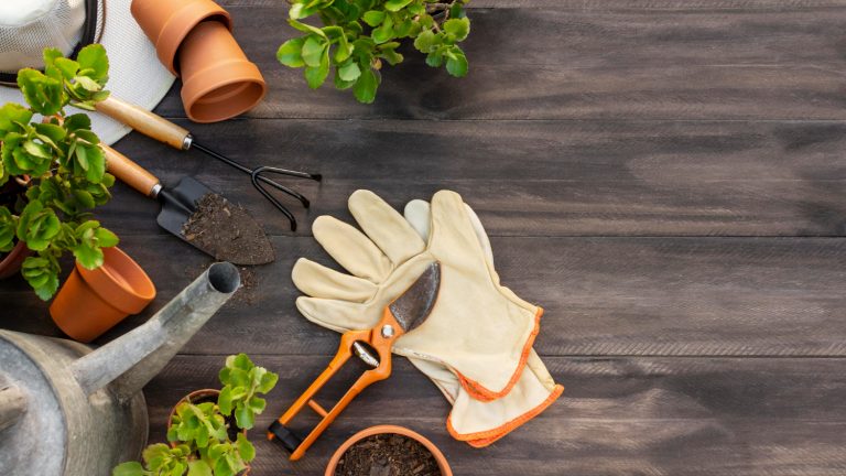 Essential Tools for Plant Maintenance