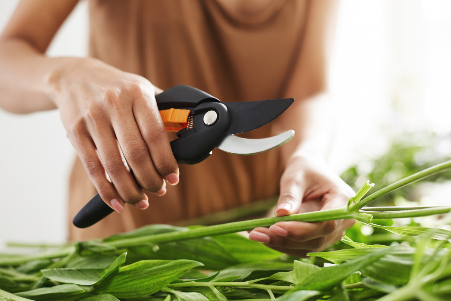 Garden Clippers